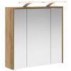 vidaXL Kylpyhuoneen Peilikaappi Taidekoivu 63,5 x 16 x 62,5 cm