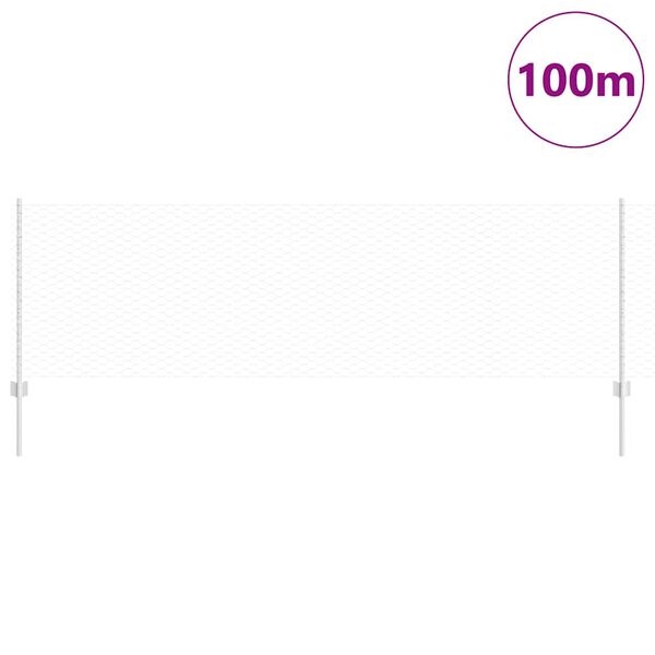 vidaXL Aita ja Tuki Hopea 0,8 x 100 m Ter&auml;s