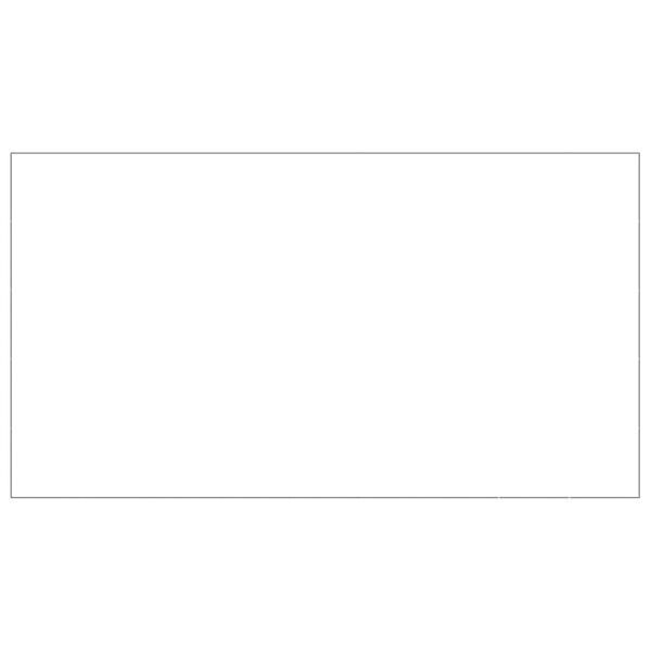 vidaXL Koiranh&auml;kki hopea 45 m&sup2; ter&auml;s