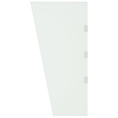 vidaXL Sivupaneeli ovikatokselle läpinäkyvä 50x100 cm karkaistu lasi