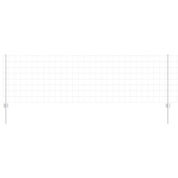 vidaXL Aita ja Tuki Hopea 0,8 x 10 m Ter&auml;s