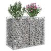 vidaXL Gabion Kohotettu Peti Hopea 100 x 50 x 80 cm Galvanoitu ter&auml;s