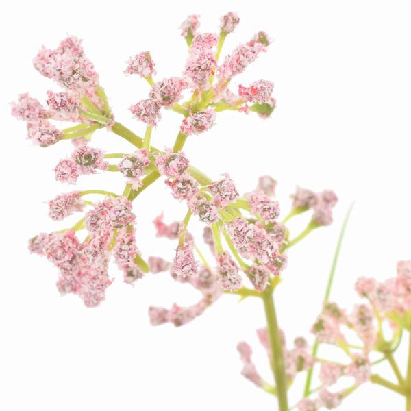 vidaXL Tekokasvit 95 cm Muovi