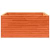 vidaXL Kukkalaatikko vahanruskea 100x100x46 cm t&auml;ysi m&auml;nty