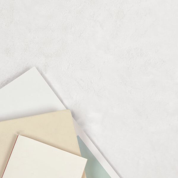 vidaXL Keinotekoinen Kanin Turkis Matto Olite Valkoinen 60 x 90 cm