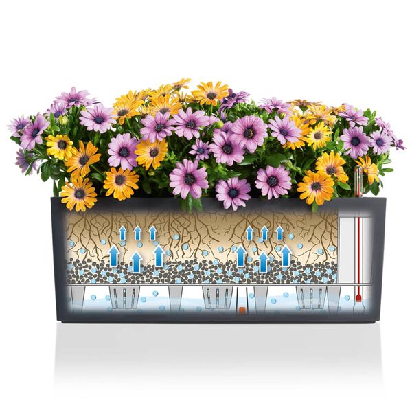 LECHUZA Kukkalaatikko Balconera Color 50 ALL-IN-ONE liuskekivi 15673