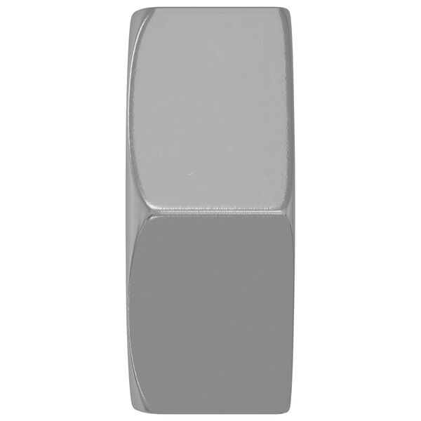 vidaXL Kuusiokolomutterit 2 pcs Hopea M6 Ter&auml;s