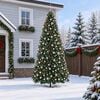 Tuotteen pikkukuva 3 / 12