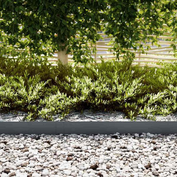 vidaXL Nurmireunus 10 pcs Antrasiitti 100 x 0.05 x 20 cm