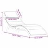 vidaXL Aurinkotuoli tyynyllä 2 pcs Vaaleanharmaa 184 x 55 x 64cm
