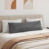 vidaXL Sohvatyynyt 2 pcs Tumma harmaa 145 x 40 cm kangas