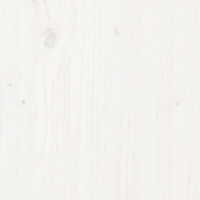 vidaXL Ulkorahi valkoinen 120x80 cm täysi mänty