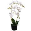vidaXL Tekokukka ruukulla orkidea 65 cm valkoinen