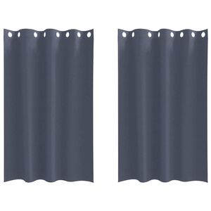 vidaXL Piment&auml;v&auml; verho renkailla 2 kpl Antrasiitti 175 x 140 cm