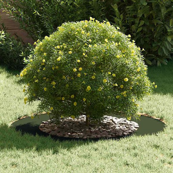 vidaXL sopiva Litteille puu renkaalle 5 pcs Oliivinvihre&auml; &Oslash;50 / 80 cm