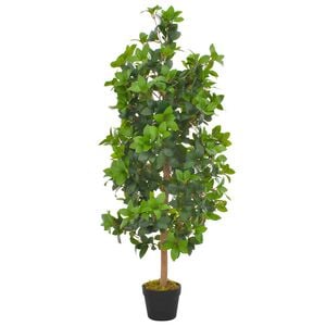 vidaXL Tekokasvi laakeripuu ruukulla vihre&auml; 120 cm