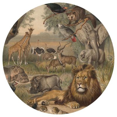 WallArt Tapetti ympyrä Animals of Africa 142,5 cm