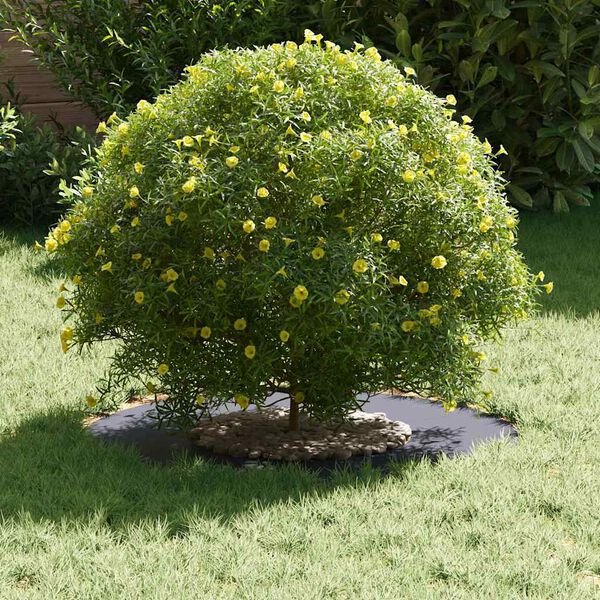 vidaXL sopiva Litteille puu renkaalle 5 pcs Antrasiitti &Oslash;30 / 60 cm