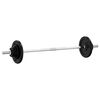 vidaXL Painonnostotanko levypainoilla 60 kg valurauta