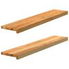 vidaXL ikkunalaudat 2 kpl vaaleanruskea 100x20x2 cm massiivipuutammea