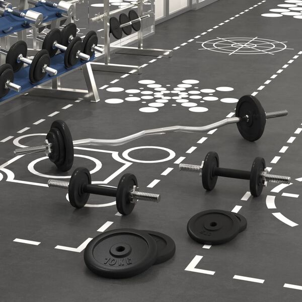 vidaXL Painonnostotanko ja k&auml;sipainosarja levyill&auml; 60 kg valurauta