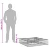 vidaXL Gabion Kohotettu Peti Hopea 100 x 100 x 20 cm Galvanoitu ter&auml;s
