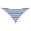 Blue_and_white