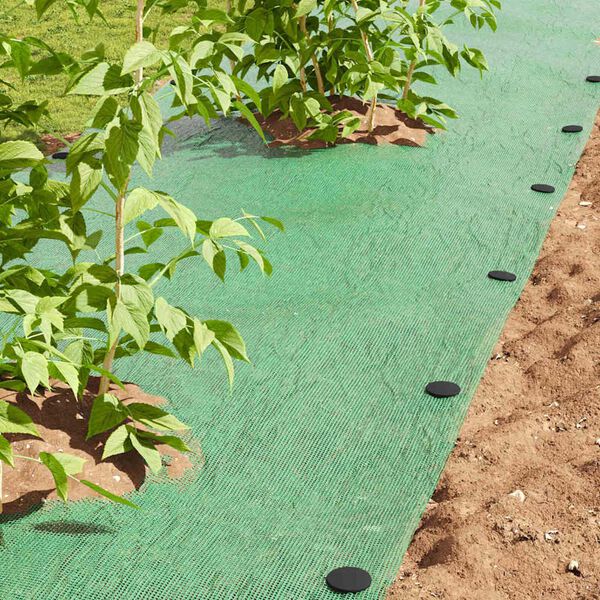 vidaXL Muovipinnat 500 pcs Musta &Oslash;3 x 11 cm Muovi