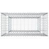 vidaXL Gabion Kohotettu Peti Hopea 50 x 100 x 100 cm Galvanoitu ter&auml;s