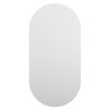 vidaXL Peili 60x30 cm lasi
