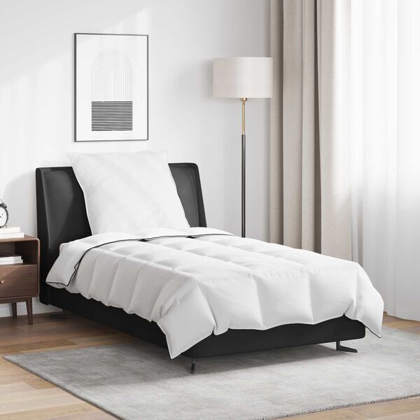 vidaXL Talvityyny tyynyllä 2 pcs Valkoinen Untuvahöyhen