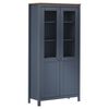 vidaXL Vitriini Hill harmaa 85x37x170,5 cm t&auml;ysi m&auml;nty