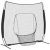 vidaXL Baseballin harjoitusverkko Musta 250 x 106 x 209 cm Polyesteri