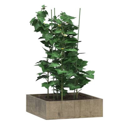 vidaXL Puutarhan kasvituet 3 rengasta 5 kpl vihreä 75 cm teräs