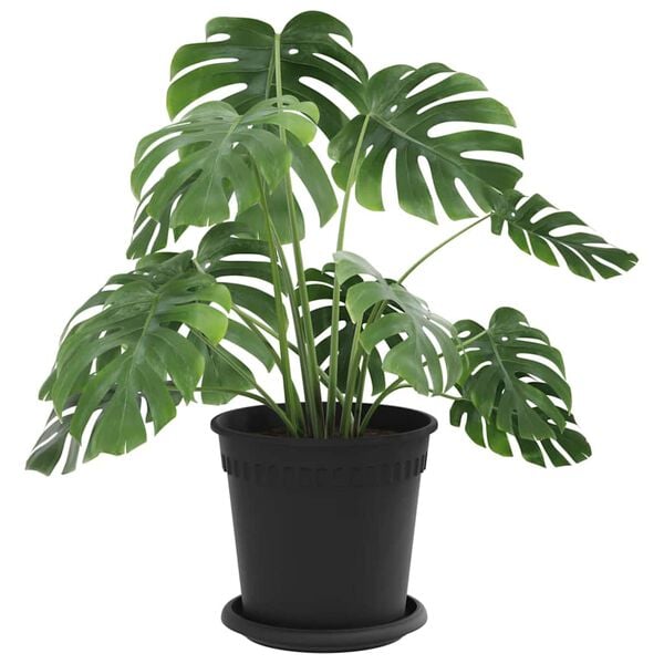 vidaXL Kasviruukut 6 pcs Musta &Oslash; 17 x 14 cm Muovi