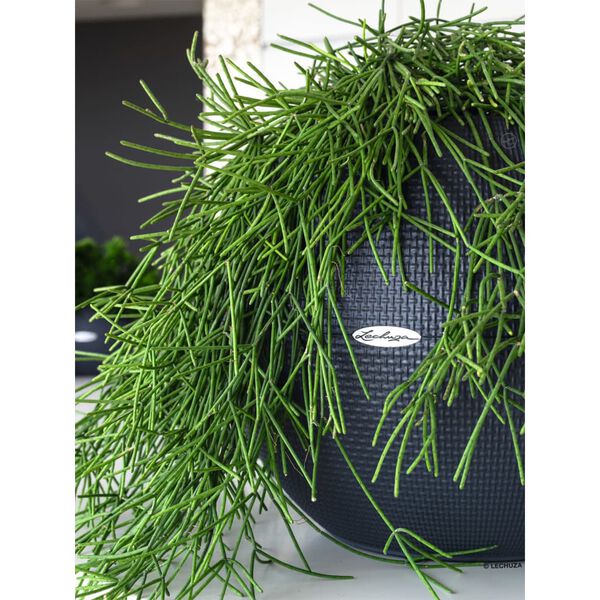 LECHUZA Kukkalaatikko PURO Color 50 ALL-IN-ONE halk. 50 cm liuskekivi