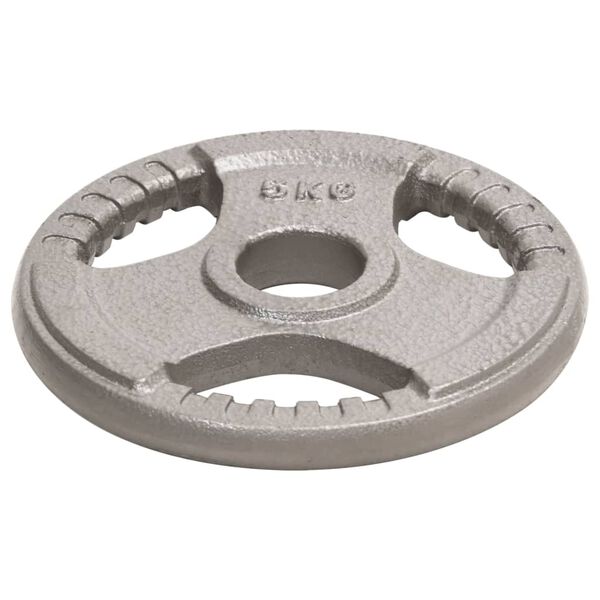 vidaXL Olympia levypainot 4 kpl 20 kg valurauta