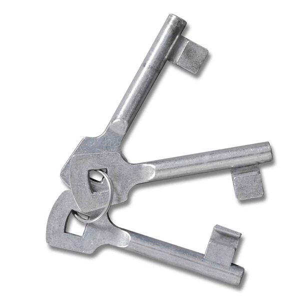 vidaXL Puutarhan verkkoportti ja ovenseinäritilä 300x175 cm