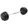 vidaXL Hauistanko levypainoilla 90 kg