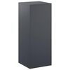 vidaXL Kasviteline Antrasiitti 40 x 40 x 100 cm Ruostumaton ter&auml;s