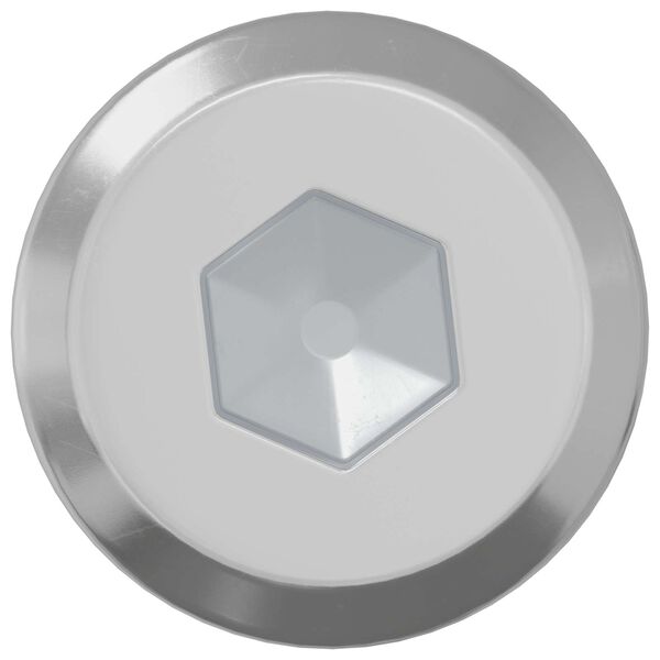 vidaXL Lukitusruuvi Yksiv&auml;rinen 2 pcs Hopea M6 x 30 mm Ter&auml;s