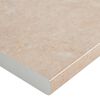 vidaXL Keitti&ouml;n ty&ouml;taso beige marmorikuvio 100x60x2,8 cm lastulevy