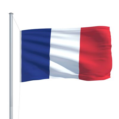 vidaXL Ranskan lippu ja tanko alumiini 6,2 m