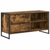 vidaXL TV-kaappi 100 x 36 x 49,5 cm Savutammi Tekninen puu