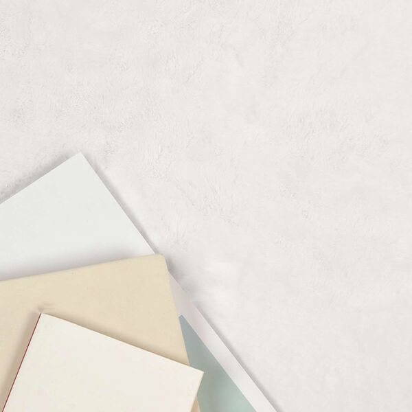 vidaXL Keinotekoinen Kanin Turkis Matto Olite Valkoinen 60 x 110 cm