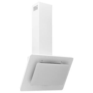 vidaXL Liesituuletin 60 cm ruostumaton ter&auml;s ja karkaistu lasi valk.