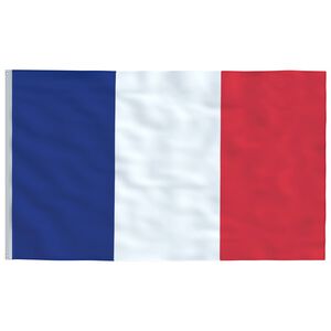 vidaXL Ranskan lippu 90x150 cm