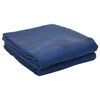 vidaXL Telttamatto Sininen 500 &times; 350 cm Polyesteri