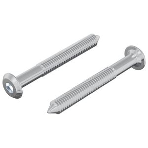 vidaXL Ruuvi 2 kpl Hopea M6 x 50 mm Ter&auml;s