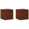 vidaXL Kasviteline 2 pcs Ruosteinen 40 x 40 x 40 cm S&auml;&auml;nkest&auml;v&auml; ter&auml;s
